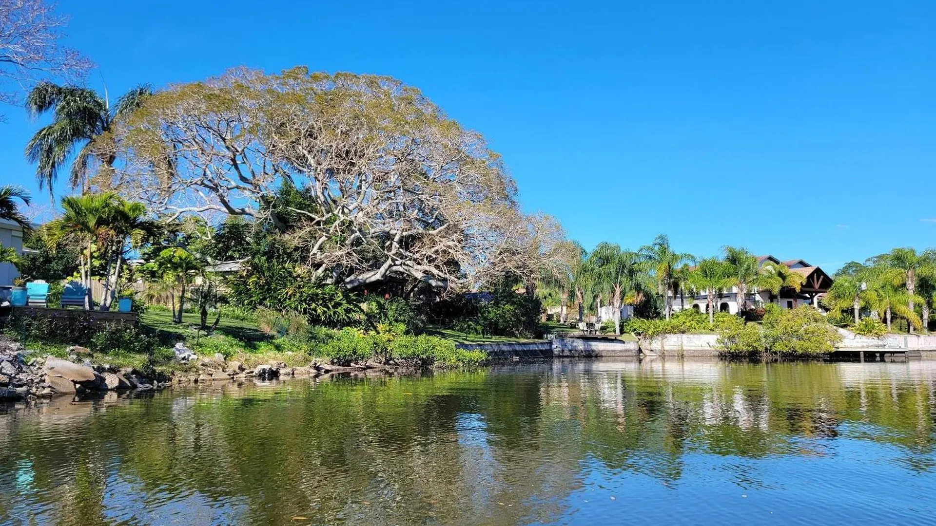 Sneaky Tiki: Heated Saltwater Pool+5 Min To Beach Largo United States